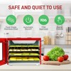 Electric Countertop Food Dehydrator Machine - 350-Watt Premium Multi-Tier Meat