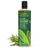 DESERT ESSENCE Tea Tree Replenishing Shampoo 12.9 fl oz