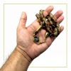 Big Prayer Beads Tesbih Tasbih Misbaha (Brown Resin 12 mm