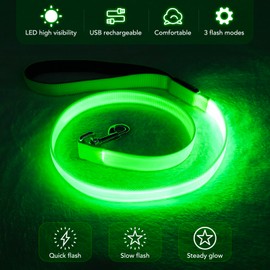 LED Dog Leash Light Up Dog Leash 4 Feet Micro USB Rechargeable Nylon Webbing Glow Safety Standard Dog Leash for Dogs by Bpawser (Green)
