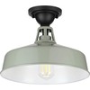 Progress Lighting Cedar Springs Collection 1-Light Farmhouse Outdoor Semi-Flush Mount
