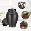 Minicremation Urns for Ashes Butterfly Bird Heart Wings Large Cremation
