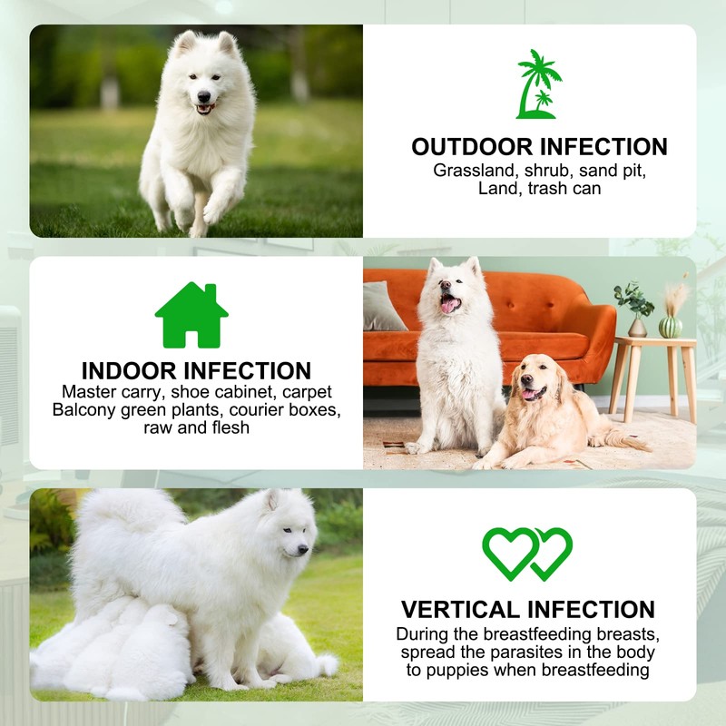 Natural Prevention for Dogs-150 Soft Chews,for All Breeds & Ages