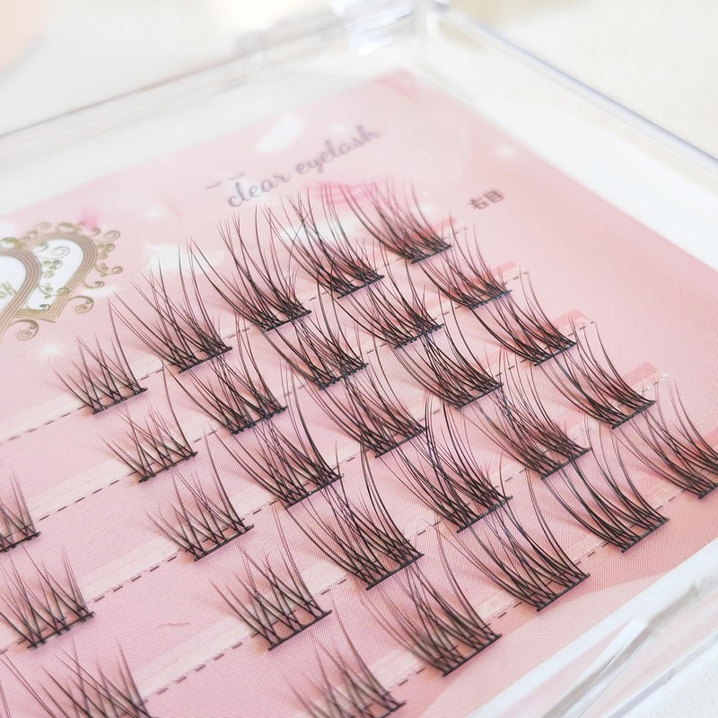 CLEAREYELASH Partial False Eyelashes, Large Capacity, 50 pcs, Korea, Natural,