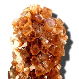 Aragonite star cluster from Morocco - provides strength and support Natural Crystal Healing Metaphysical Spiritual Earth Gemstone - Large pc #1