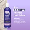 One 'n Only Shiny Silver Ultra Conditioning Shampoo 33.8 fl.