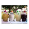 Like Shop 4 Barril Vitrolero 20 Litros Con Cucharón