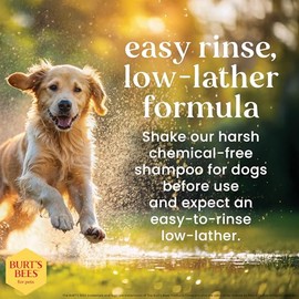 Burt's Bees for Dogs All-Natural Shed Control Shampoo with Omega 3s and Vitamin E | Best Anti-Shedding Shampoo for All Dogs & Puppies, 16 ounces