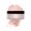 wet n wild MegaGlo Loose Highlighting Powder Zodiac Collection ~
