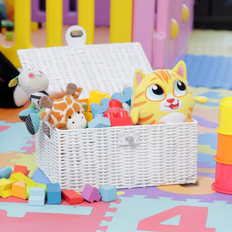 Arpan Medium Resin Woven Storage Basket Box with Lid &