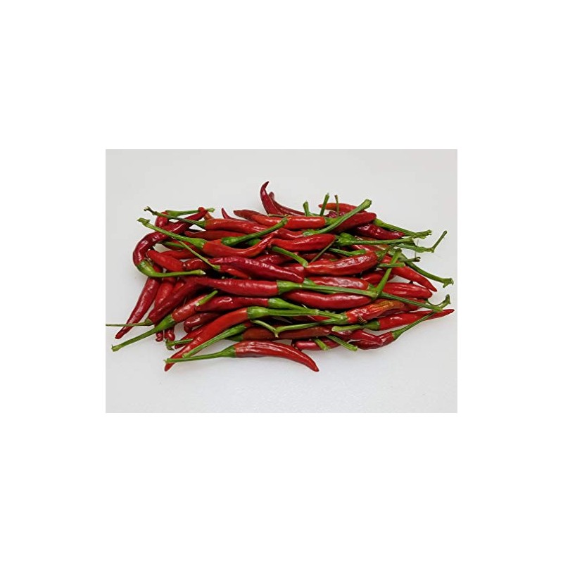 Thai Dragon Pepper 10+ Seeds