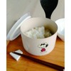 Snoopy SN981-47 Rice Refrigerator Storage No Wrap Needed Hygienic Large