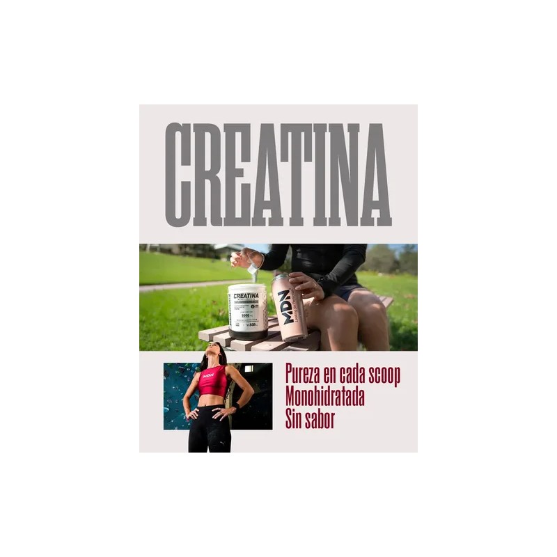 Creatina Monohidratada En Polvo Alta Pureza 500g Mdn Sports