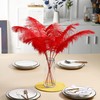Ballinger Red Ostrich Feathers for Centerpieces - 12pcs 24-26inch Feathers