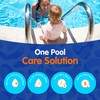 Eeziblue Monthly Algaecide for Swimming Pool, Pool Algaecide for Inground
