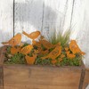 Storm's Gartenzaubereien Garden Stake Bird Set of 6 5 cm