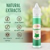 HONEYBERRY Natural Peppermint Extract 30ml – Professional-Grade Highly Concentrated Flavouring