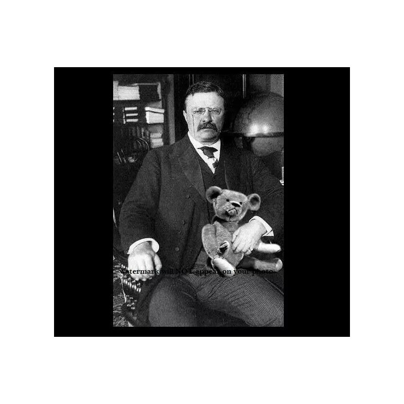 President Theodore Teddy Roosevelt PHOTO Teddy Bear Jonathan Edwards,White House