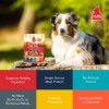PLATO Grain Free Turkey Meat Bars Soft Dog Treats for