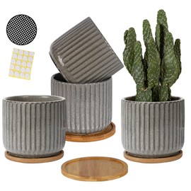 TAMAYKIM 5.25 Inch Ceramic Plant Pots with Drainage Holes and Saucers, Modern Flower Pots with Trays for Indoor Planters, Snake Plant, Succulent, Cactus and Herbs, Set of 4