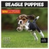 MICASA Beagle Puppies Mini 2025 Wall Calendar 12 Month |