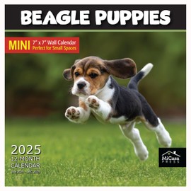 MICASA Beagle Puppies Mini 2025 Wall Calendar 12 Month | 7" x 14" Open | Thick & Sturdy Paper | Giftable | Calendar 2025