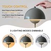 Qichksum Flowerpot Table Lamp with USB Charging Cable, 3 Colors