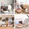 Automatic Dog Cat Feeder and Water Dispenser Gravity Food Feeder