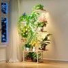 MemoCastle White Plant Shelves with Grow Lights: 7-Tier 65" Tall