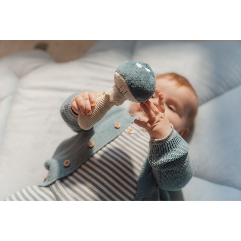 Little Dutch Forest Friends 8901 Grasping Toy Mushroom Blue