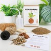 Gift Republic - The Art of Kokedama DIY Kit