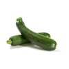 CEMEHA SEEDS - Seeds Green Zucchini Courgette Squash Tsukesha Non