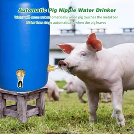 Lonepetu 4 Pcs Pig Waterer Nipples for Barrel Kit, Stainless Steel Hog Waterer Nipples Automatic Pig Nipple Water Drinker Feeder Water System with Brass Tank Connector Kit for Piglets Goat