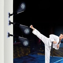 Wall-mounted Taekwondo kicking practice suction mitts / 벽걸이 태권도 미트 발차기 연습 흡착식 미트