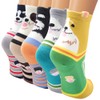 Ambielly Funny Socks - Cotton Thermal Adult Unisex Socks Value