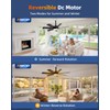 28 Inch Socket Fan Light with Remote Control, Screw in