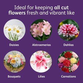 Chrysal Bio-Based Flower Food – Universal Flower Preservative for Fresh Cut Flowers – Eco-Friendly 10 oz Jar with Scoop – Extends Vase Life by Up to 60%