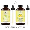 Handcraft Blends Lemon Essential Oil – Huge 4 Fl Oz