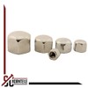 Cap Nuts (Low Shape) - M10 - (Pack of 10)