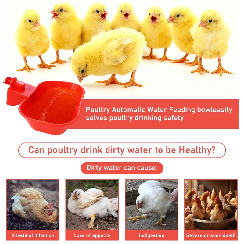 KCLROEO XL Chicken Waterer Cups – 4 Pack Large Automatic