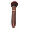 USB Makeup Brush Rechargeable Massage 10 Gears Adjustable Electronic Cosmetic