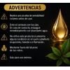 Shampoo Tinte Negro 3 en 1, Cubre Canas al Instante,