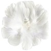 Doyeemei Feather Shower, Feather Shower, Plenty of Feathers, 200 Pieces,