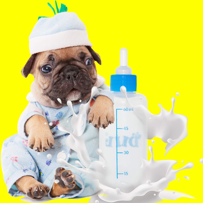 Pet Feeding Bottle. Pet Syringe. Pet Puppy Bottles. Dog and
