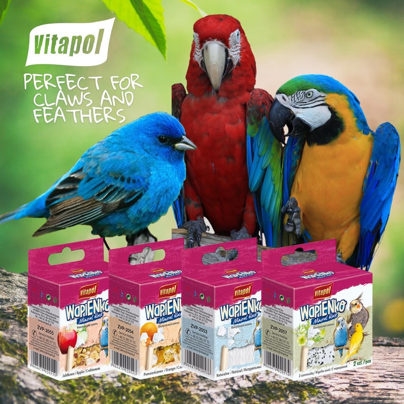 Vitapol Wapienko Bird Calcium Block – Natural Supplement for Beak