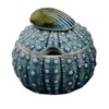 Blue Sky Ceramics Blue Urchin Sugar Bowl, Multi (14883)