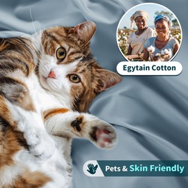 LBRO2M 100% Cotton 1200 Thread Count Queen Size Sheets Set,16 inches Deep Pocket,Bed Sheet 4 Piece Sets (Queen, French Blue)