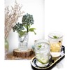 Kingrol 6 Pack 12 oz Romantic Water Glasses, Premium Drinking