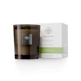 Aquiesse Cherimoya Large Scented Candle, 10oz