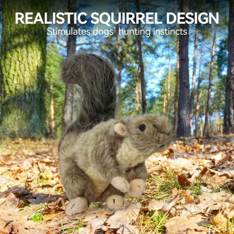 ALL FOR PAWS Interactive Dog Squirrel Plush Squeaky Toy -